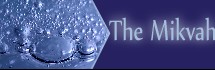 mikvah promo.jpg